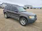 2007 FORD ESCAPE
