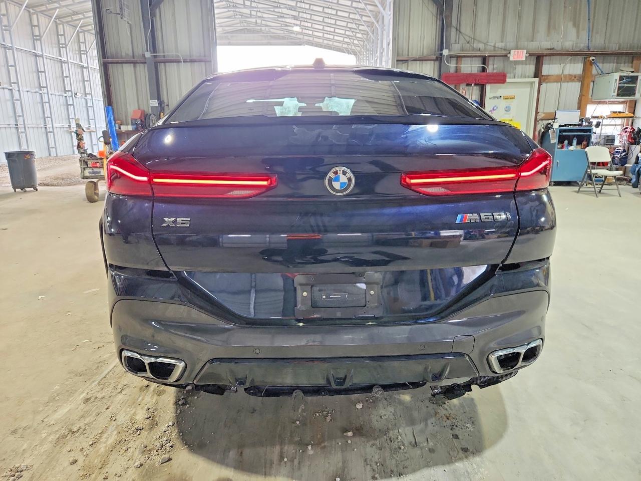 2025 BMW X6