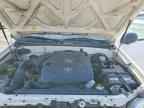 2005 TOYOTA TUNDRA