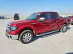 2013 FORD F-150 Lightning