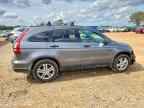 2010 HONDA CR-V