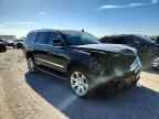 2020 CADILLAC ESCALADE