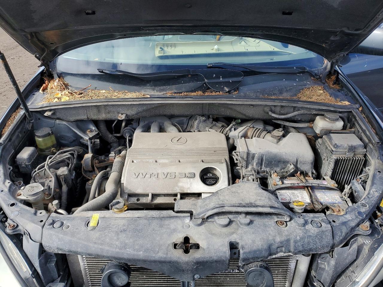 2004 LEXUS Rx 330