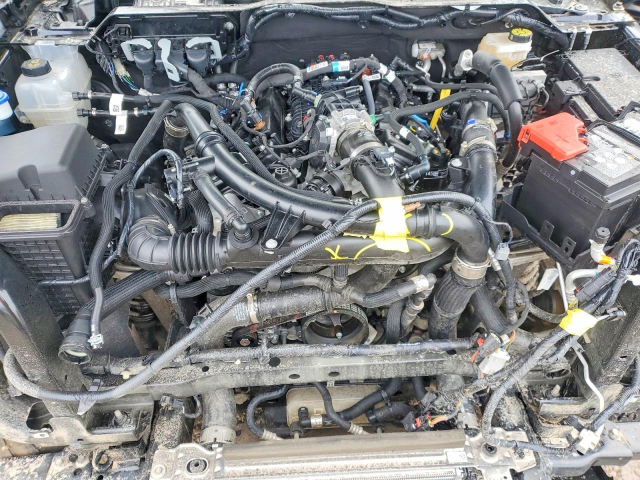 2025 FORD RANGER