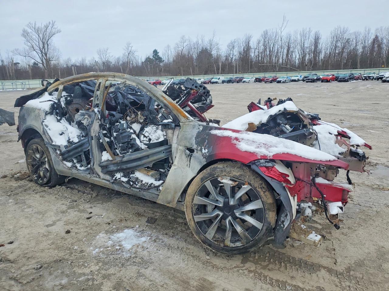 2024 TESLA MODEL 3