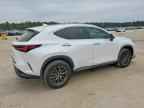 2023 LEXUS NX 250