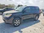 2013 LEXUS GX 460