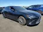 2025 LEXUS Es 300