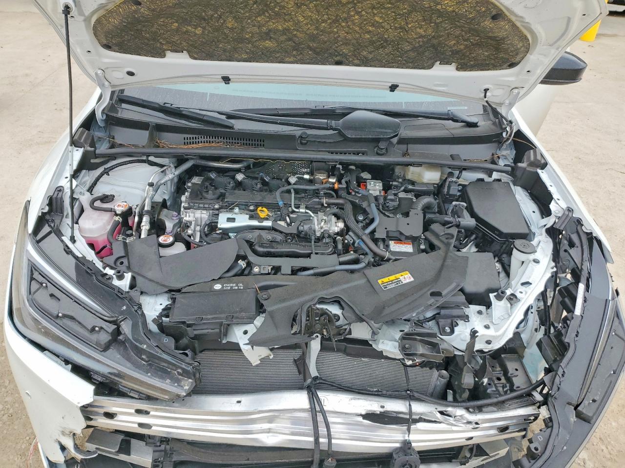 2024 TOYOTA PRIUS