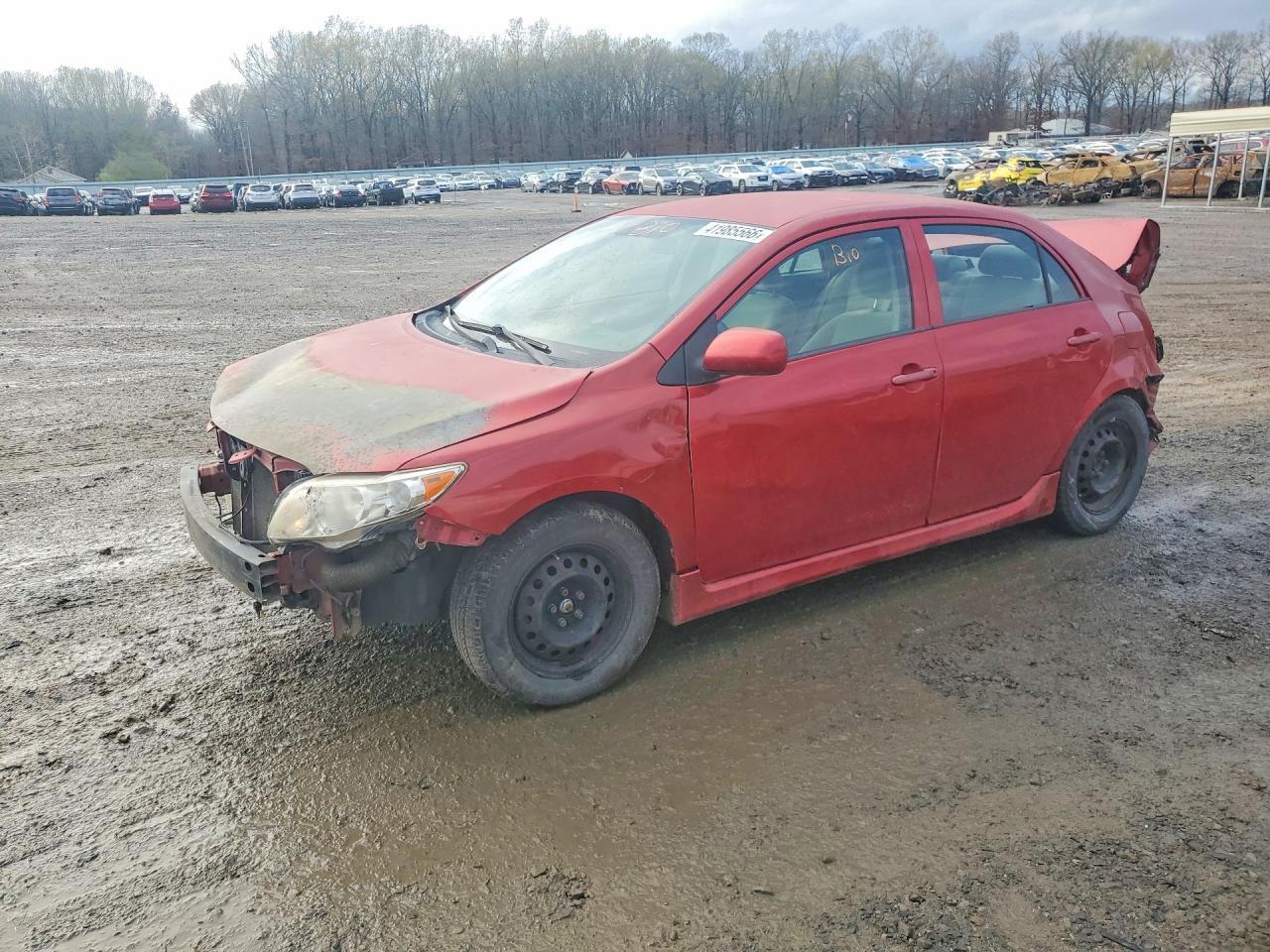 2010 TOYOTA COROLLA