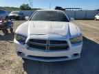 2011 DODGE CHARGER