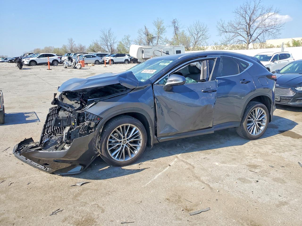 2025 LEXUS NX 350