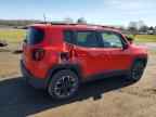 2023 JEEP Renegade