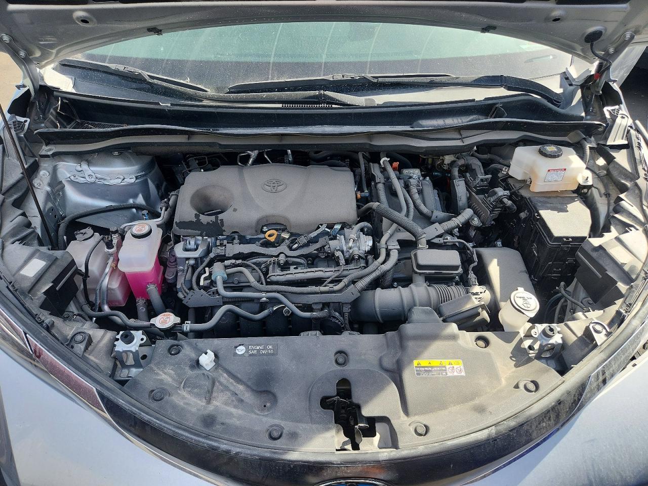 2023 TOYOTA SIENNA