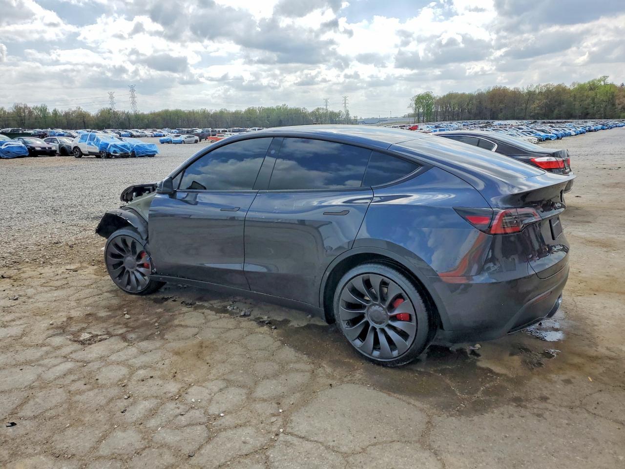 2025 TESLA MODEL Y