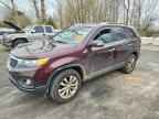 2011 KIA SORENTO