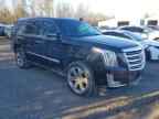 2019 CADILLAC ESCALADE