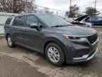 2024 KIA Carnival