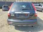 2010 HONDA CR-V