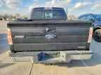 2013 FORD F-150 Lightning
