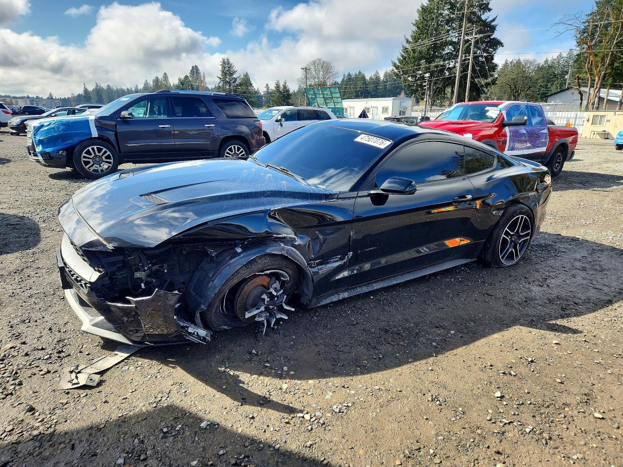 2019 FORD MUSTANG