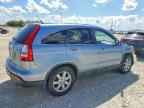 2009 HONDA CR-V