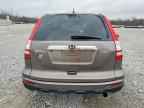 2010 HONDA CR-V