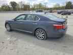 2007 LEXUS LS 460