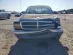 1999 DODGE Dakota