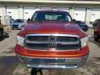 2009 DODGE RAM 1500