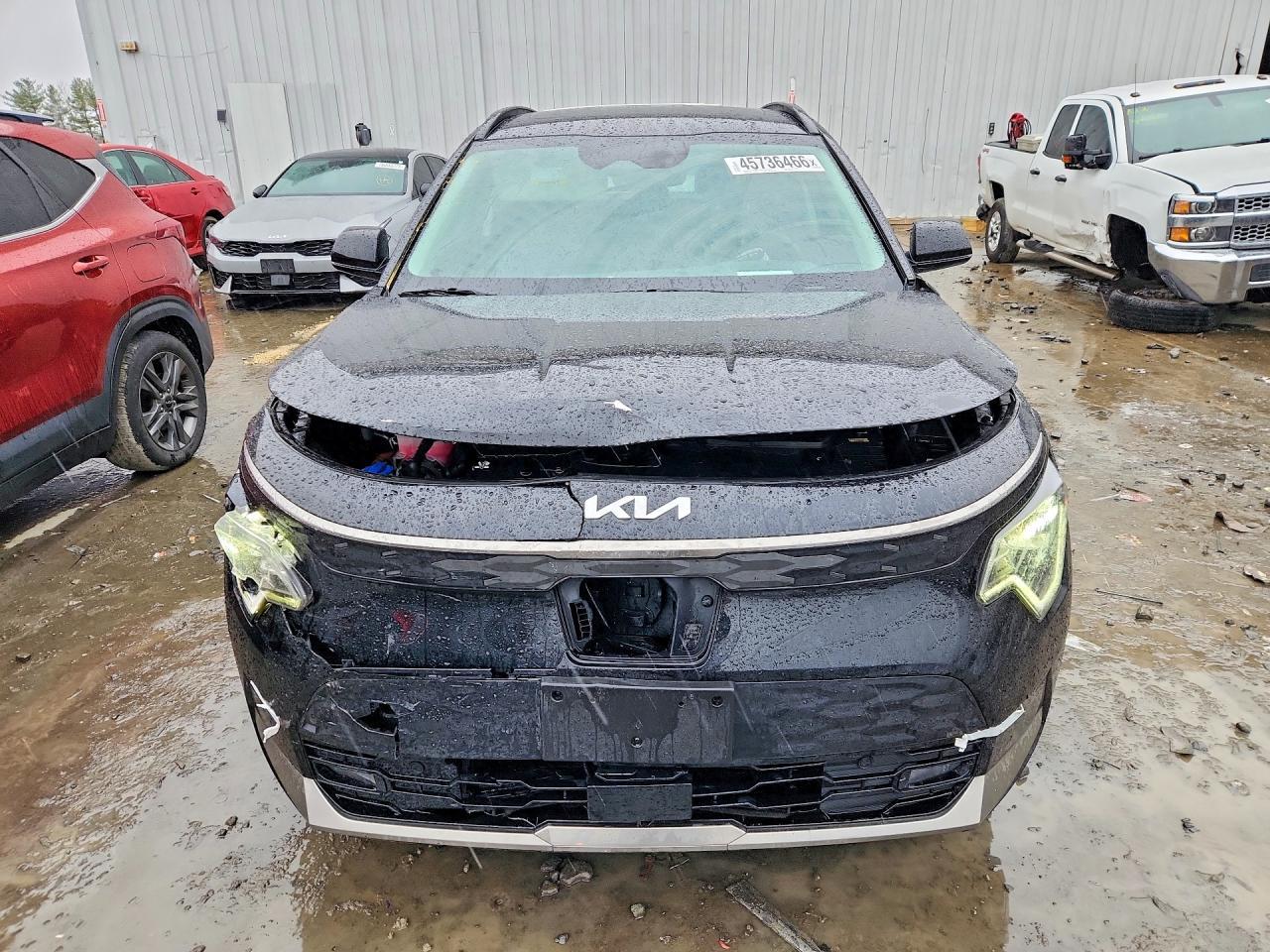 2024 KIA Niro