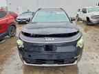 2024 KIA Niro
