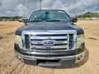 2010 FORD F-150 Lightning