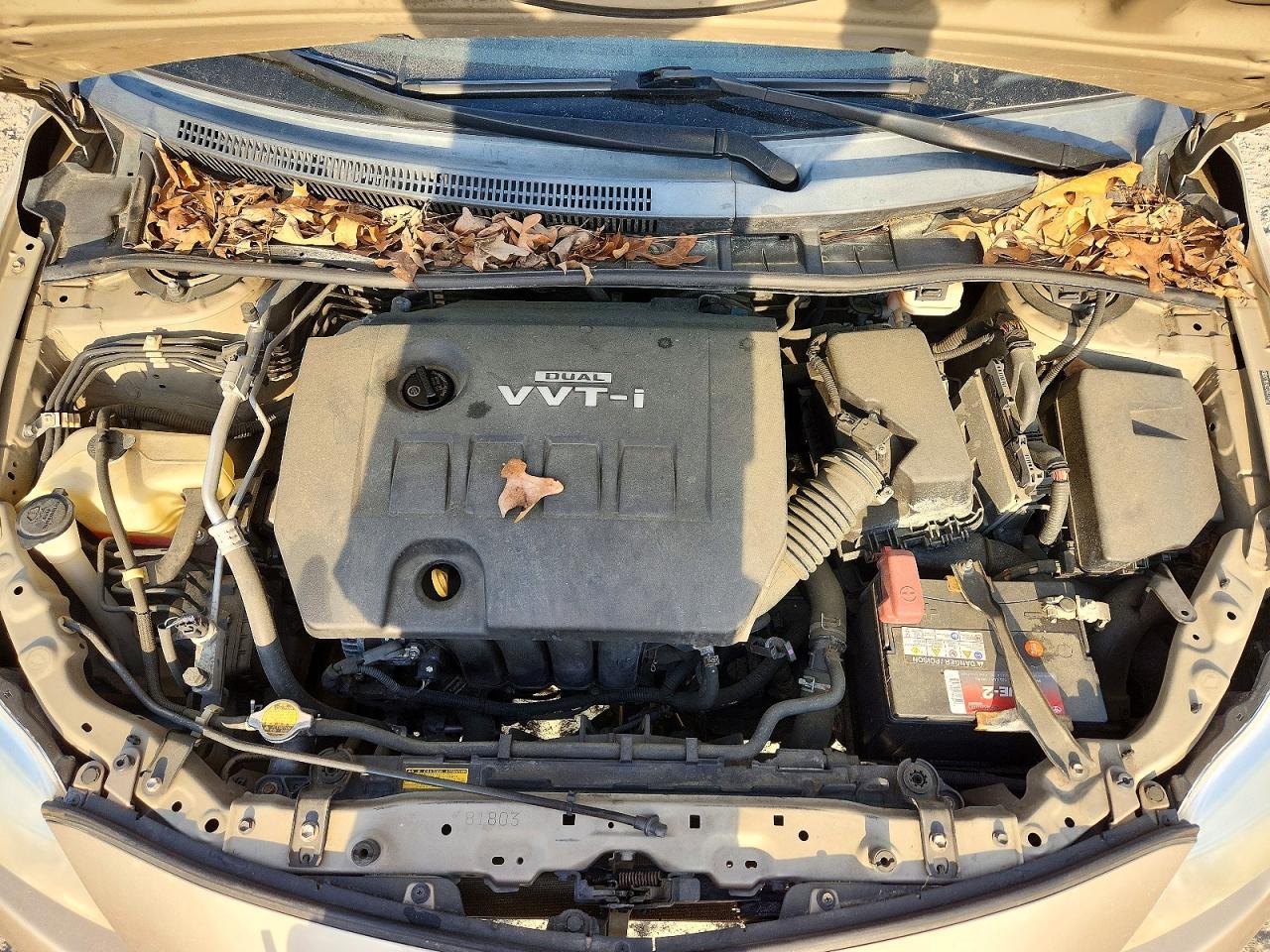 2010 TOYOTA COROLLA