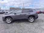 2024 TOYOTA RAV4 Prime