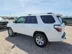 2024 TOYOTA 4Runner