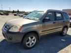 2006 HONDA CR-V