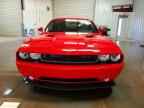 2014 DODGE Challenger
