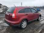 2009 HONDA CR-V