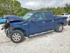 2013 FORD F-150 Lightning