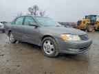 2004 TOYOTA Avalon
