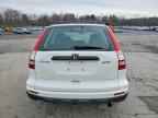 2010 HONDA CR-V