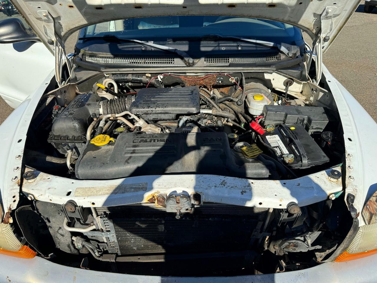 2003 DODGE Dakota