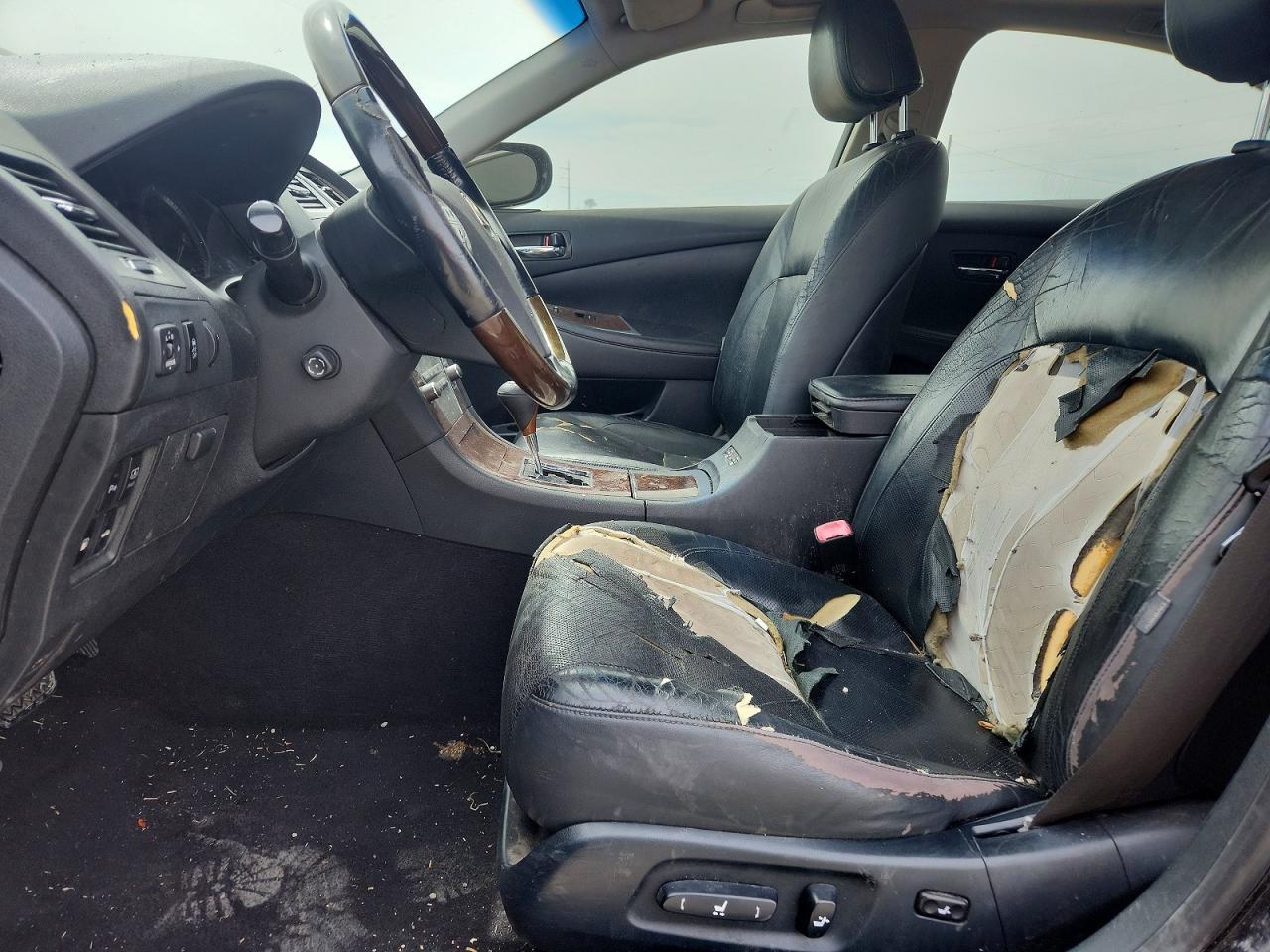2010 LEXUS ES 350
