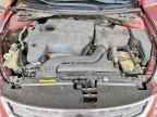 2010 NISSAN ALTIMA