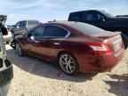 2010 NISSAN Maxima