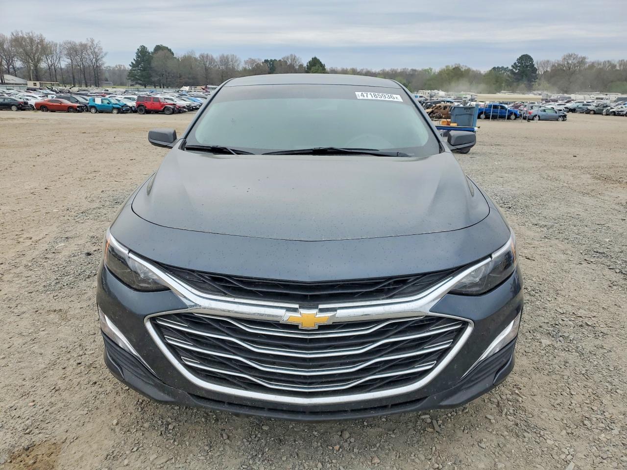 2019 CHEVROLET Chevlmalbu