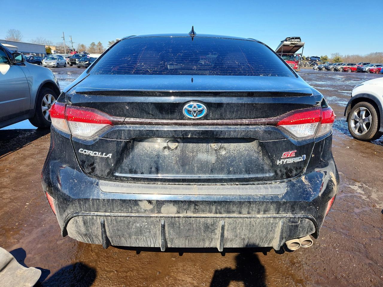 2023 TOYOTA COROLLA