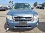 2010 FORD ESCAPE