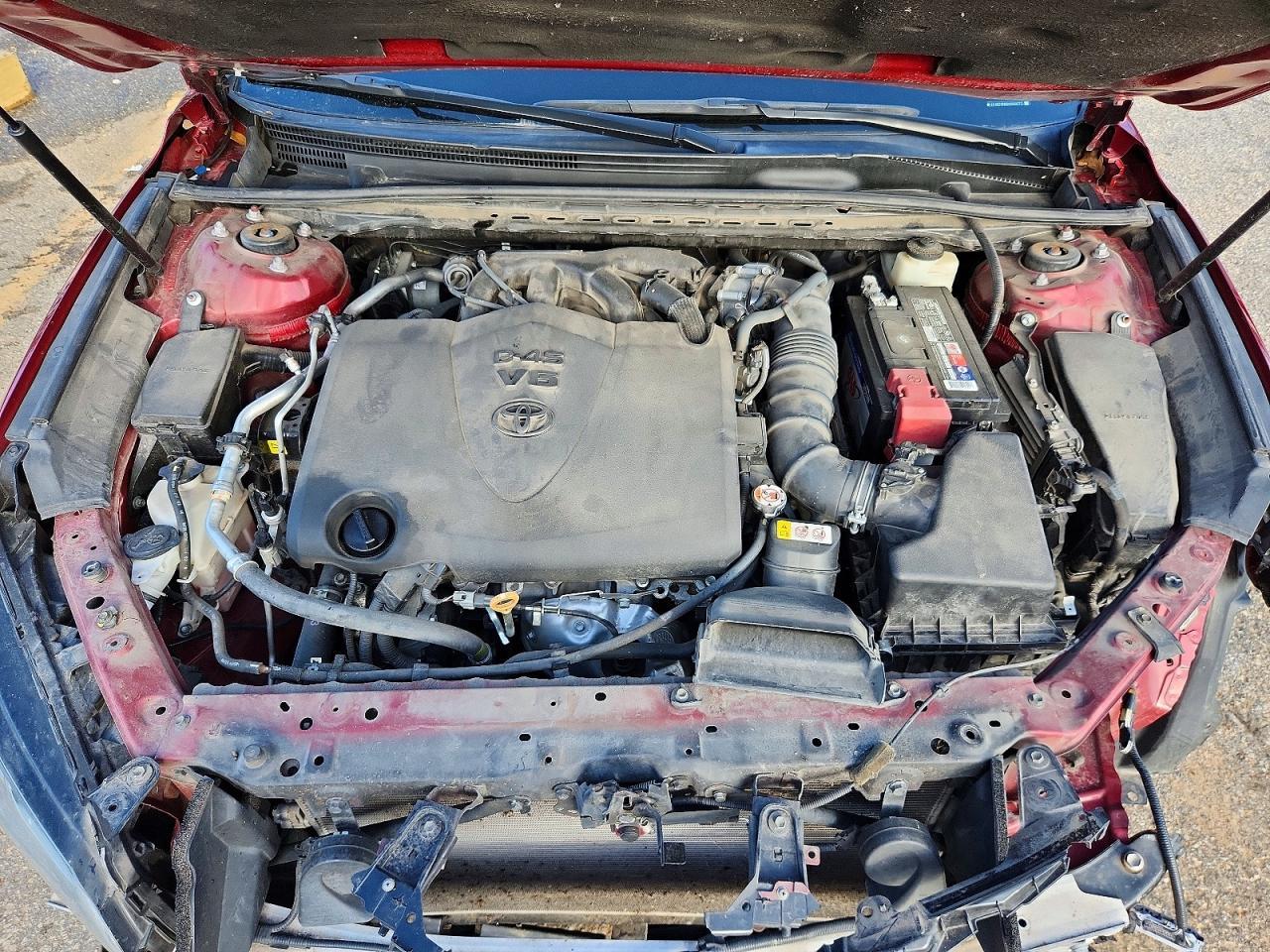 2019 TOYOTA Avalon